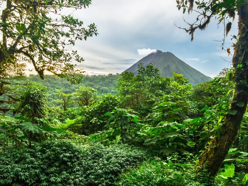 Top 1 - Costa Rica Reisen & Rundreisen