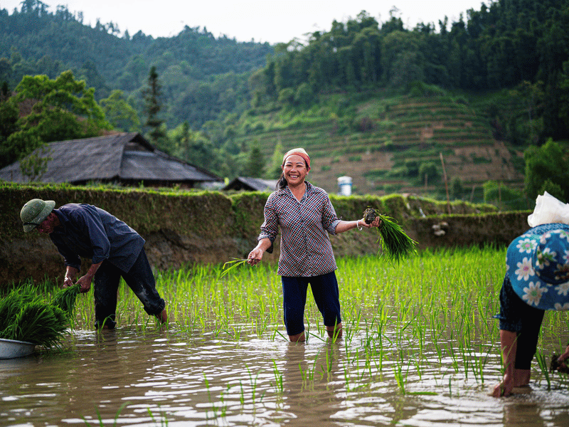 Reise nach Vietnam Hoang Su Phi Pan Hou