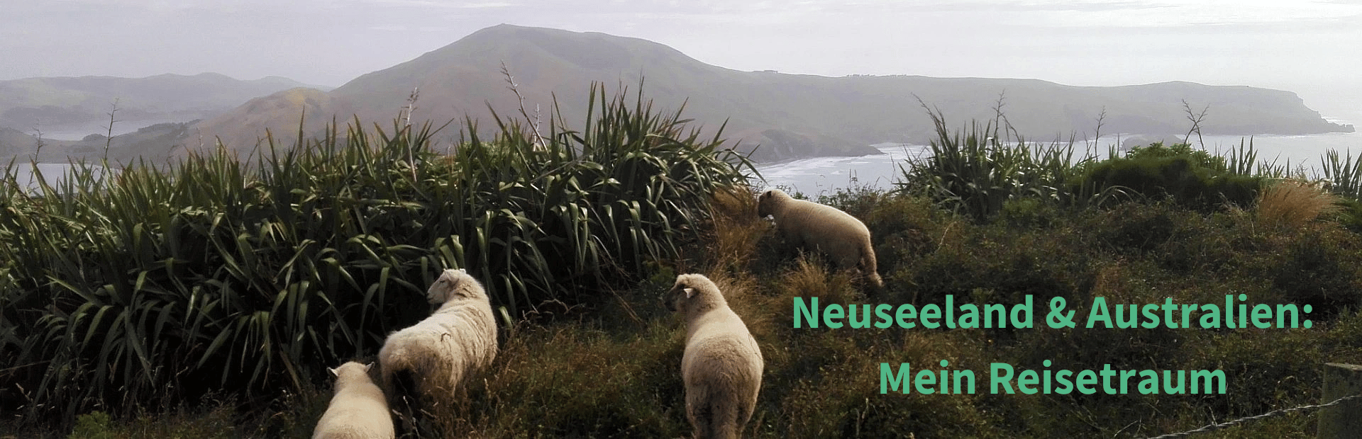 Blog erlebe Ozeanien mit Ueberschrift