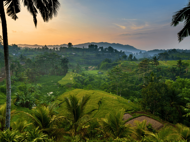 Blog Herbstreiseziele Indonesien Blick ins gruene Tal