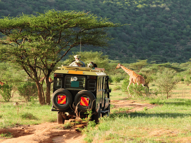 Safari in Afrika