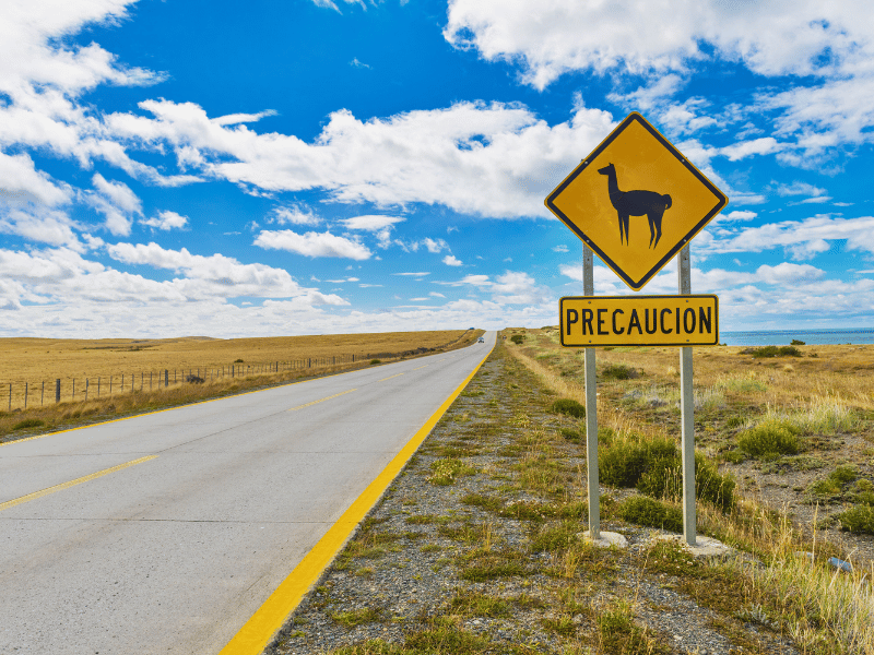 Lama Schild in Südamerika