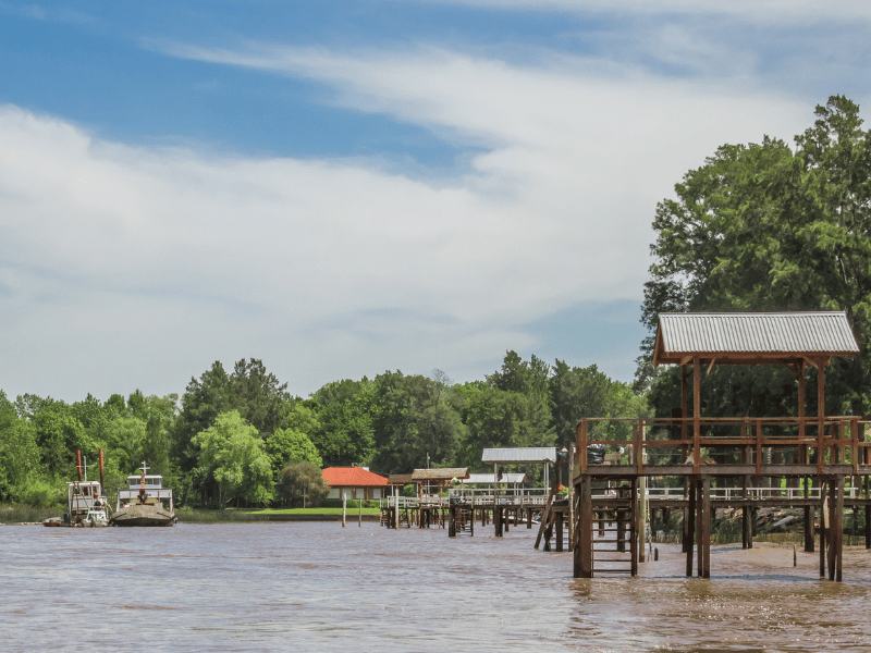 Tigre Delta