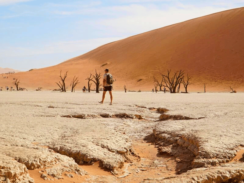 Wanderung durch die Wüste