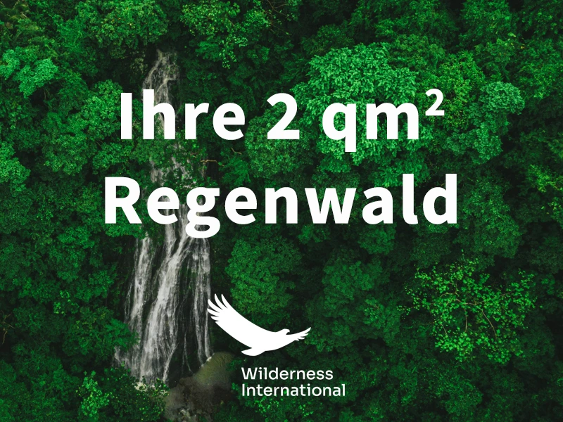 erlebe_Regenwald_2025