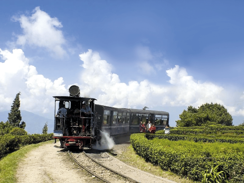 Tee trinken in Darjeeling