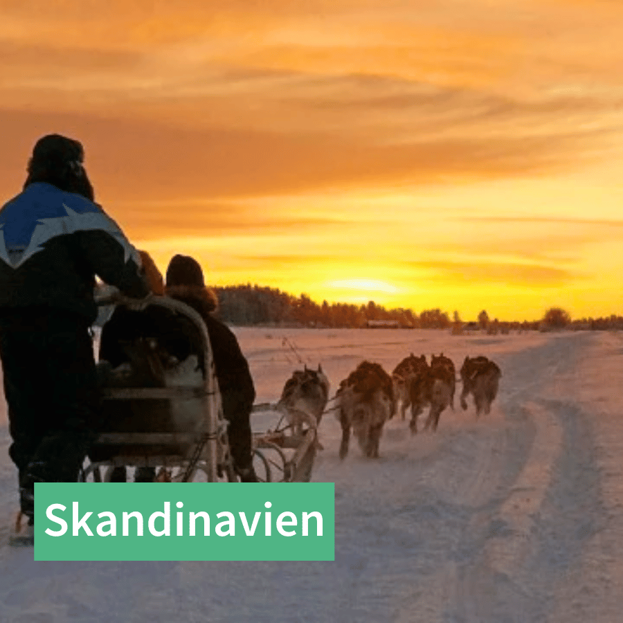Hundeschlittenfahren in Lappland