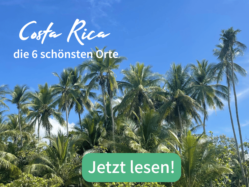 Costa Rica Palmenstrand