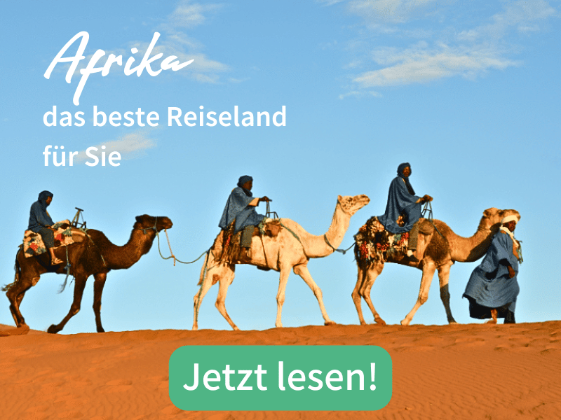 Blog Afrika, Menschen reiten auf Kamelen in der Wüste