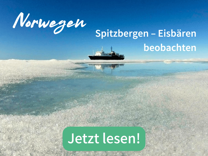 Boot auf dem Meer um Spitzbergen