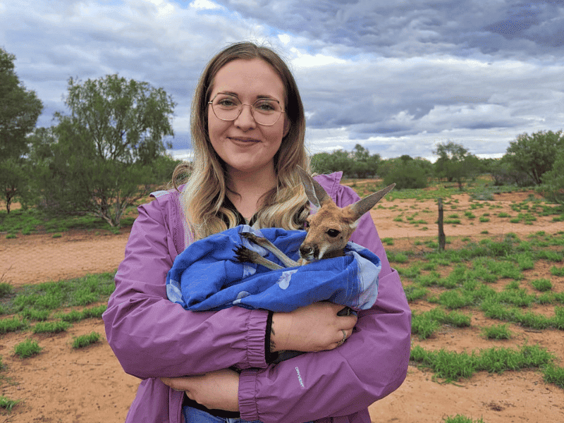 bestemmingsexpert demi