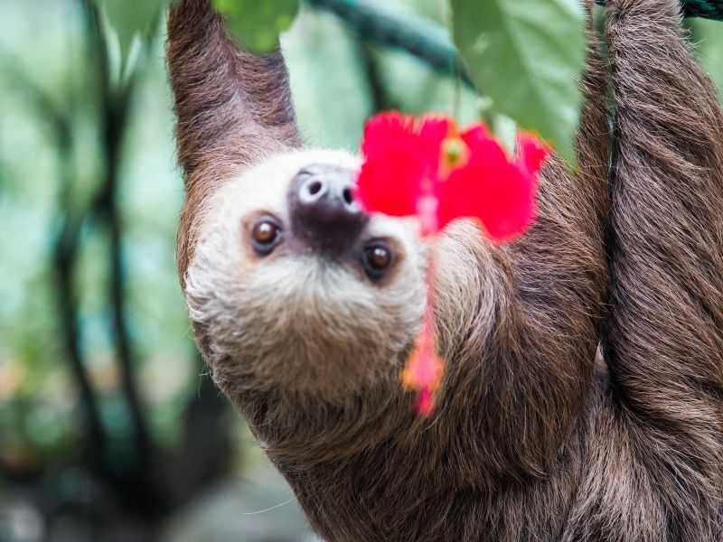 Costa Rica