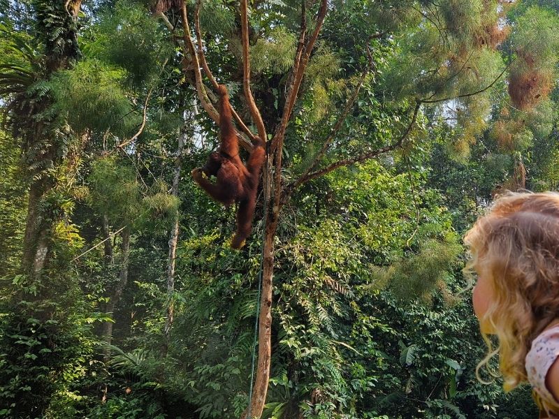 Malaysia