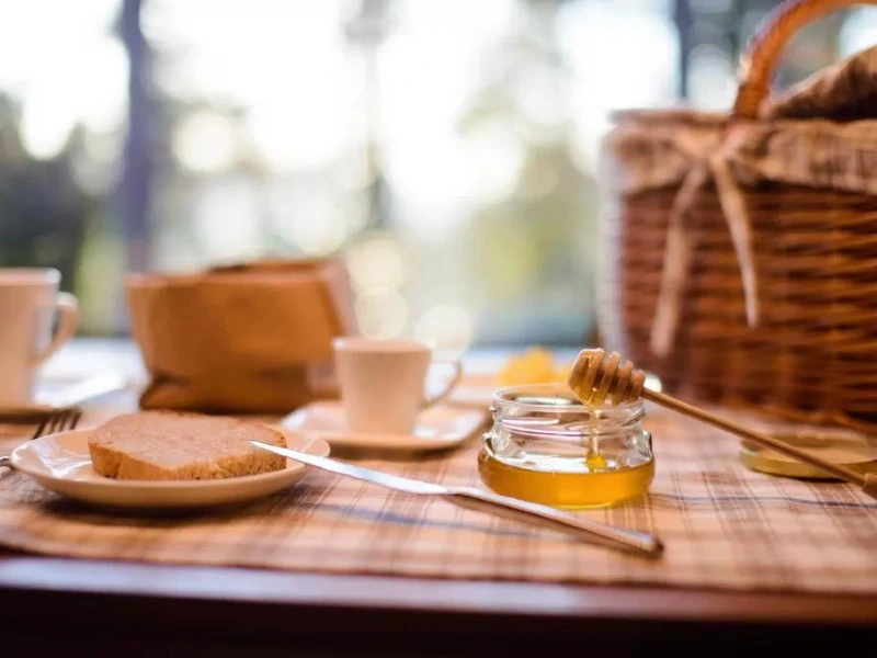 Slowenien Special Stay Unterkunft Vipava