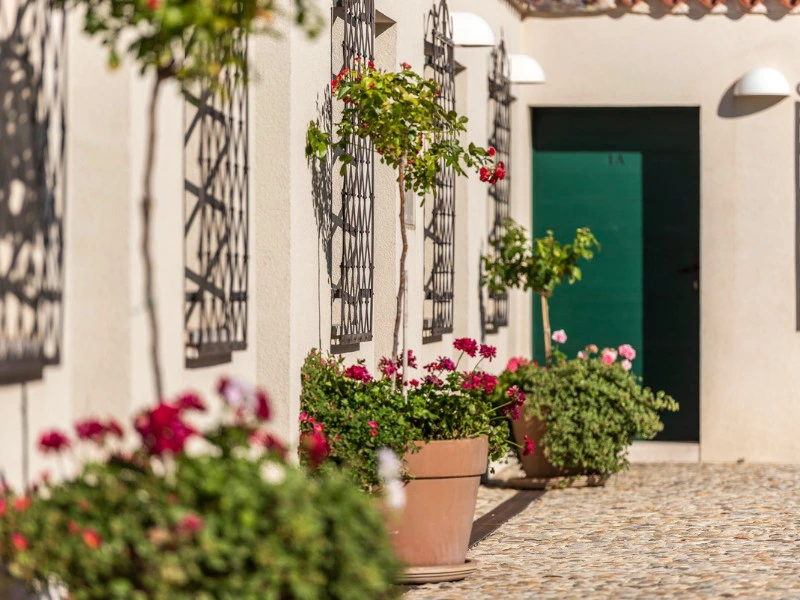 Zadar Urlaub Special Stay im Landesinneren