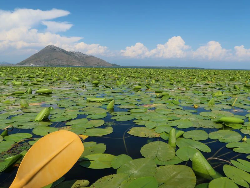 Kayaktour Skadar See
