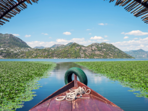 Montenegro Rundreise Tag 7 – Bootfahren auf dem Skadar-See