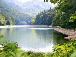 Biogradska Nationalpark in Montenegro