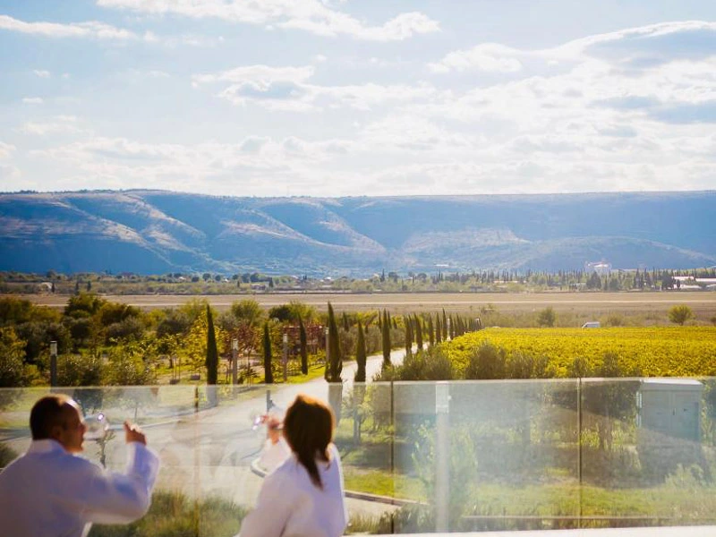 Paar trinkt Wein und schaut in die Weinberge