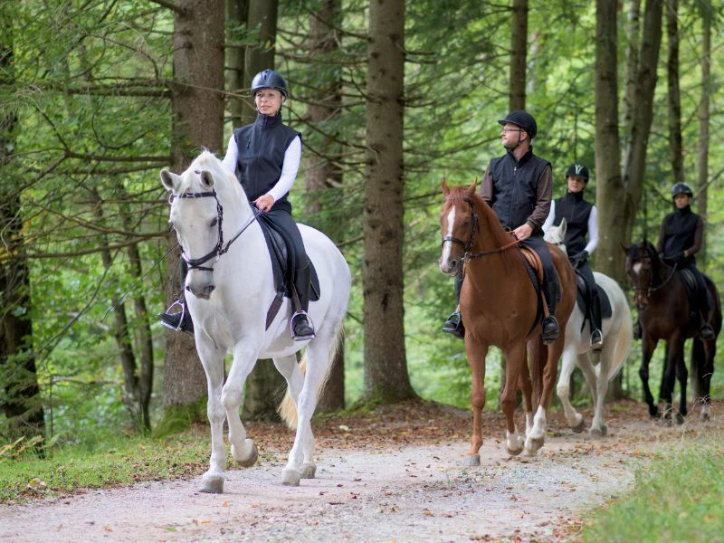 Menschen auf Pferden im Wald
