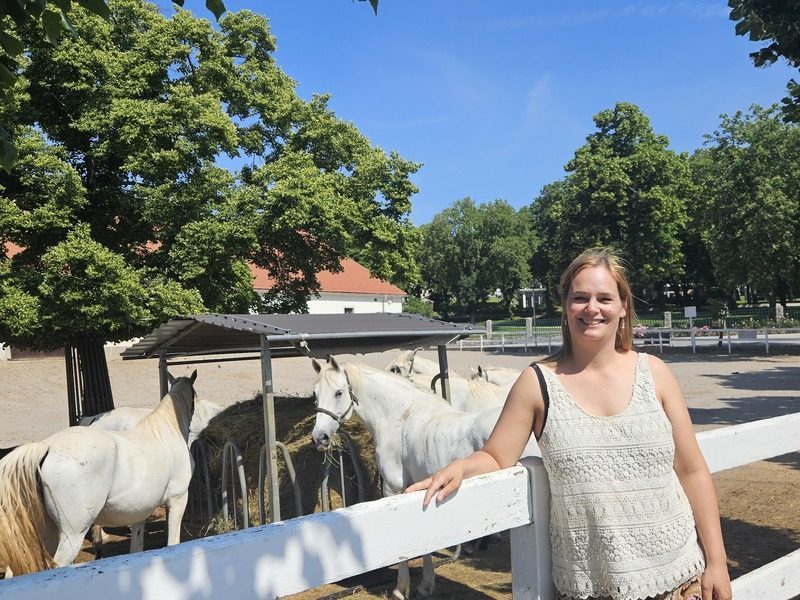 Besucherin mit Lipizzaner-Pferden auf Gestüt in Slowenien