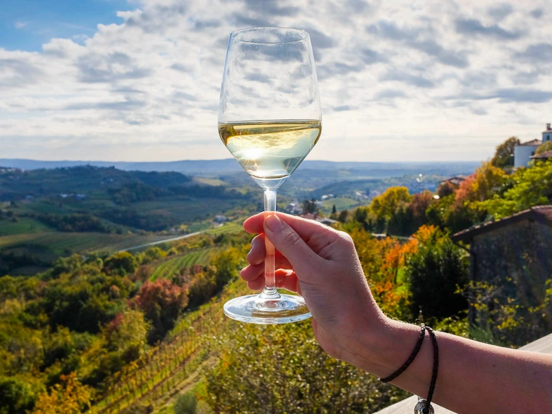 Weinglas in der Hand - Weinregion Maribor Slowenien