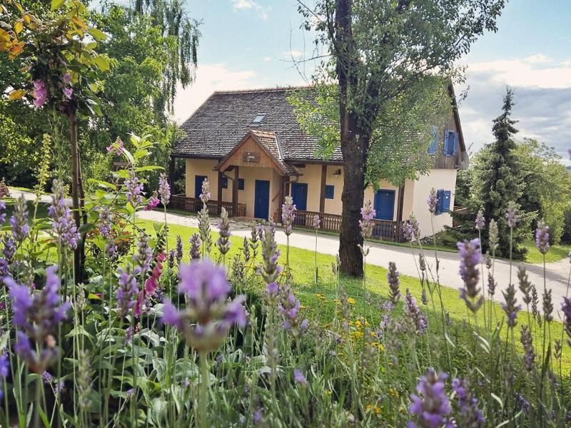 Weingut in Zagorje-Krapina