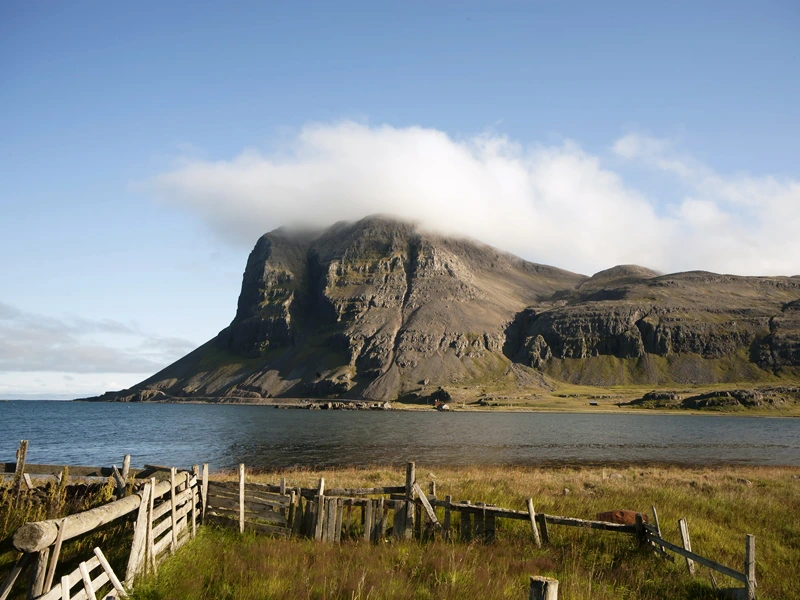 Strandir Küste in den Westfjorden