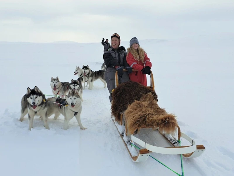 Island Hundeschlitten