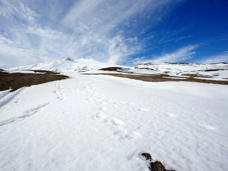 Unterwegs auf dem Snaefellsjökull Gletscher