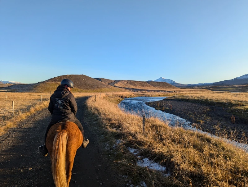 Reittour auf Islandpferden bei strahlend blauem Himmel