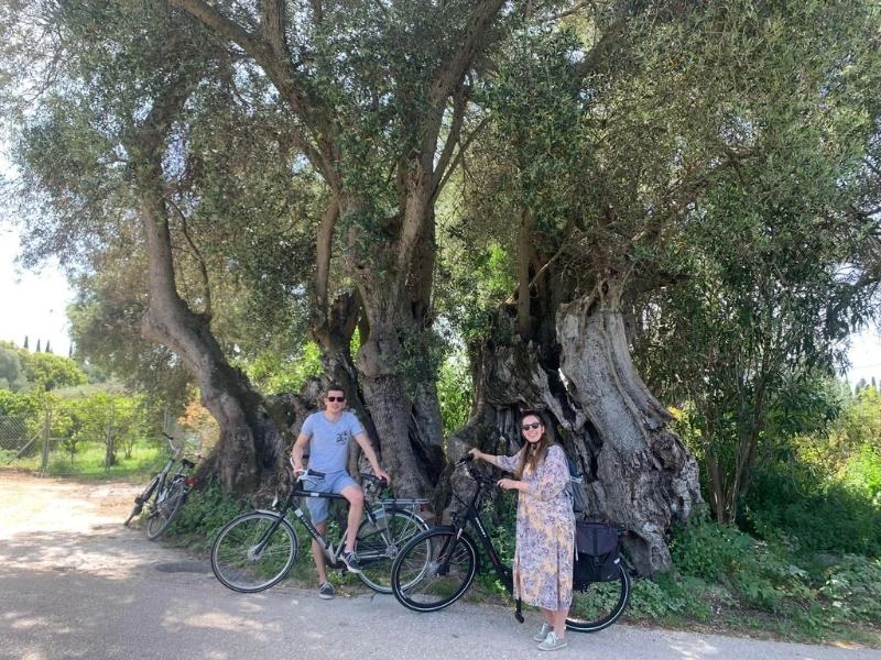 Fahrradfahrer vor einem Olivenbaum in Griechenland