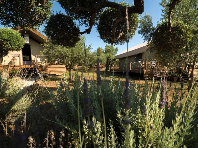 Glamping in Gialova