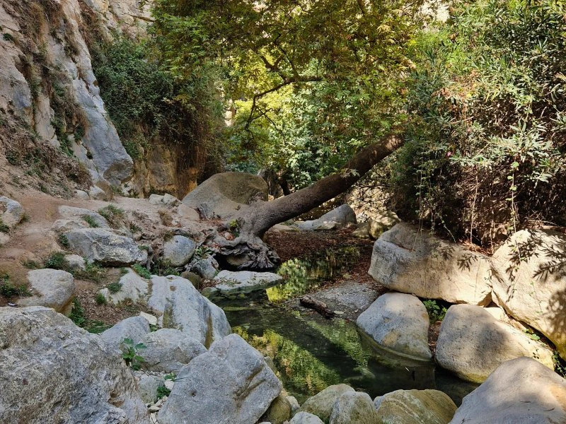 Avakas Canyon auf Zypern