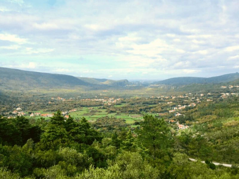 Grüne Landschaft von Alvados in Portugal