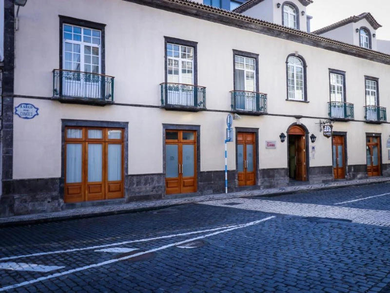 Ponta Delgada Whale Watching