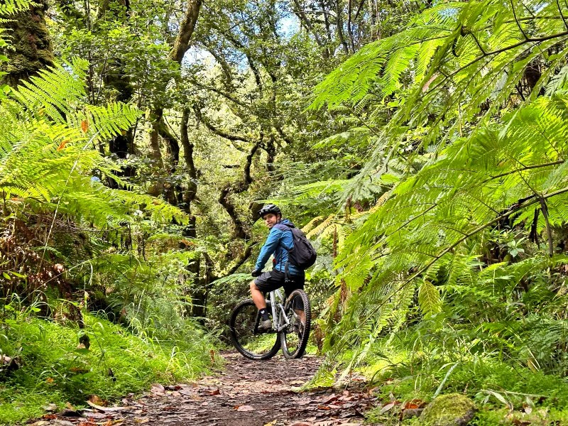 Mountainbiken Madeira
