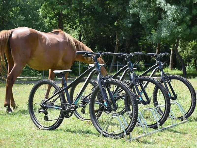 Fahrräder auf Pferdewiese