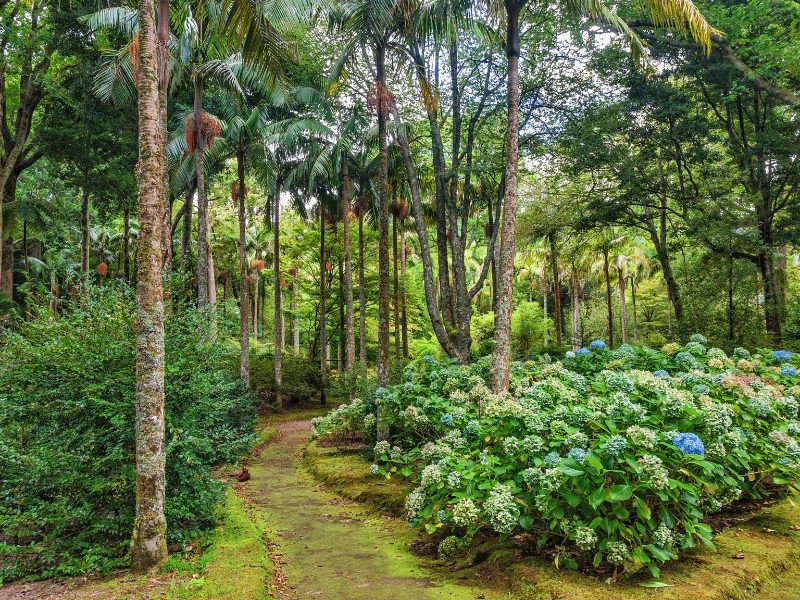Terra Nostre park Furnas Sao Miguel