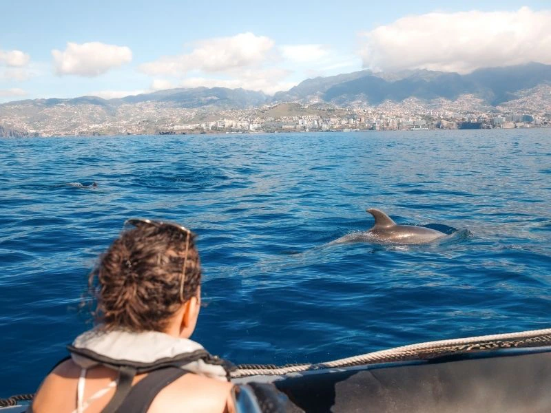 Frau beim Whale Watching auf Madeira