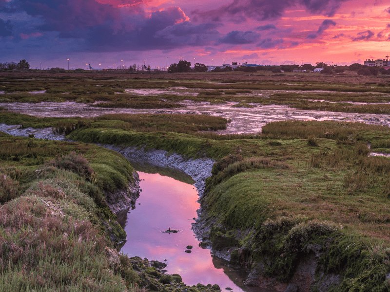 Parque Natural da Ria Formosa