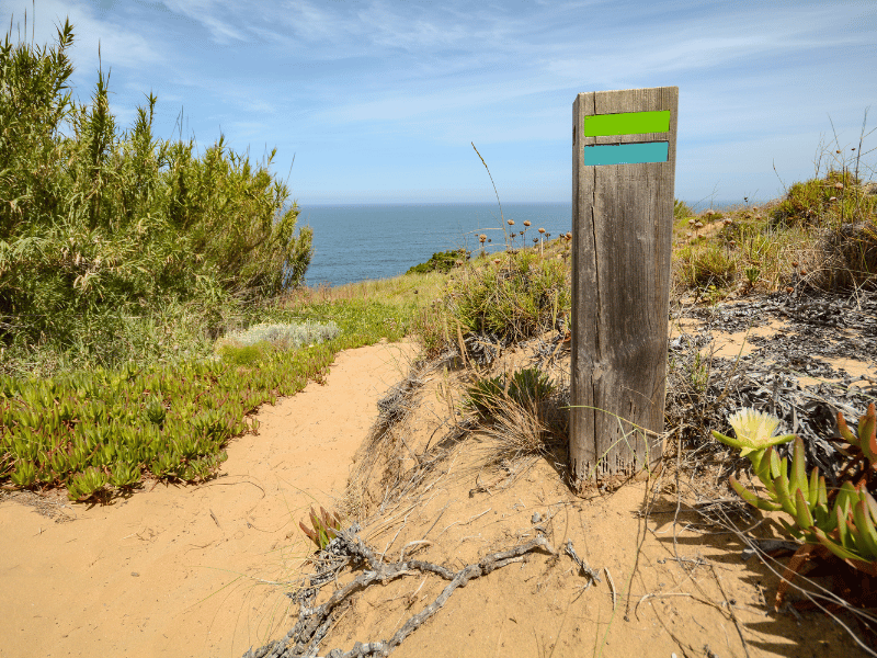 Parque Natural do Sudoeste Alentejano e Costa Vicentina