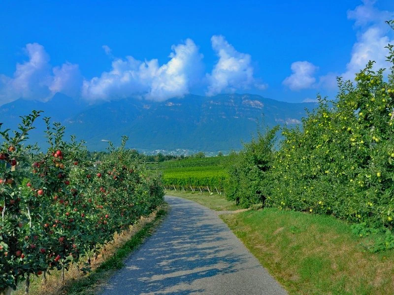 Landschaft in Italien