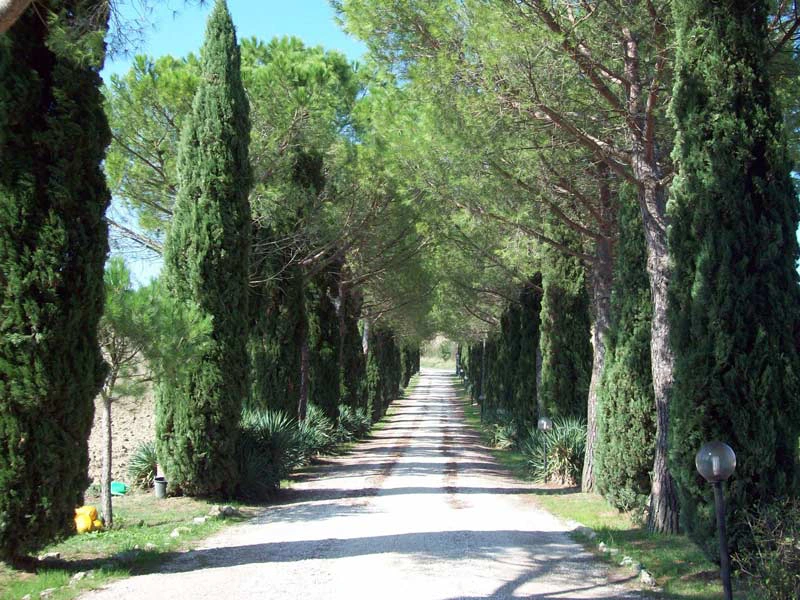 Todi Italien Landschaft Unterkunft