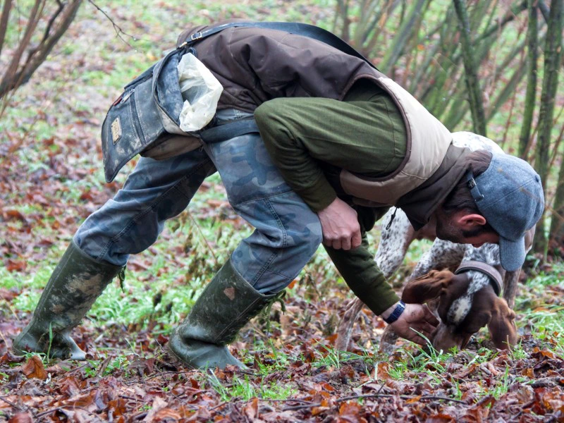 Trüffelsuche in Piemont