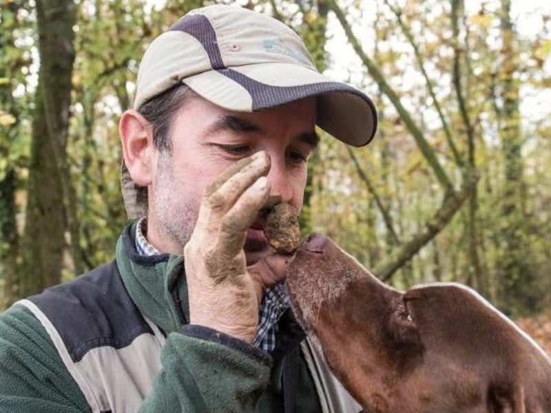 Piemont Reise Trüffelsuche