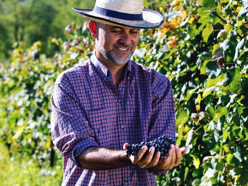 Piemont Reise Wein
