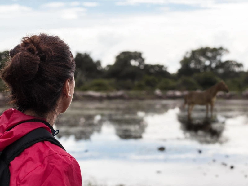 Giara Nationalpark nahe Sinis Halbinsel