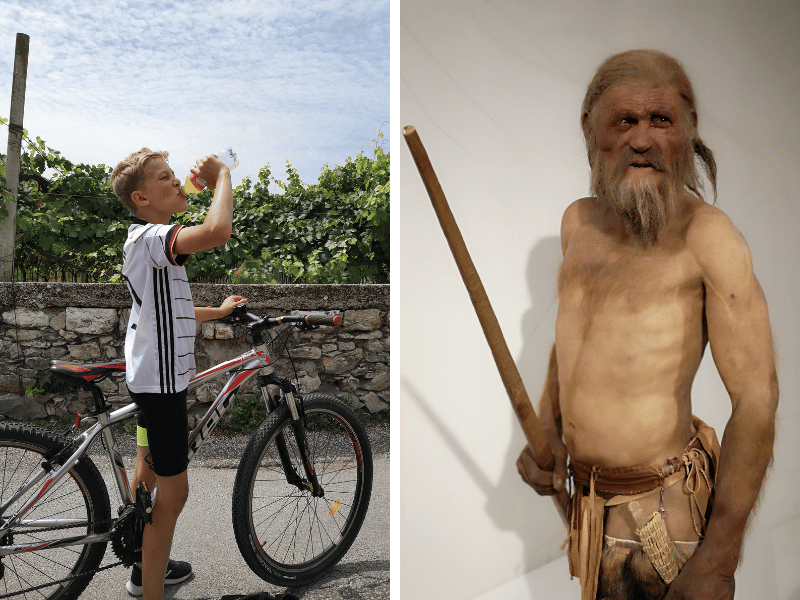Neandertalmuseum und Weinfelder am Gardasee in Italien