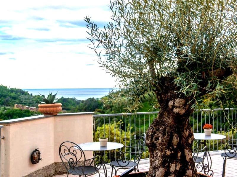 Hotel Cinque Terre